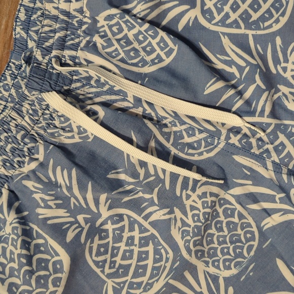 Chubbies Thigh-Napples 5.5" Swim Trunks Men's - L - Pineapple - Picture 3 of 5